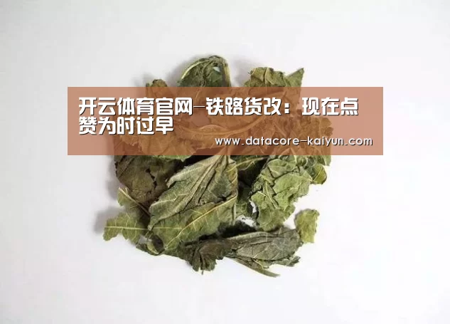 开云体育官网-铁路货改:现在点赞为时过早(图2) 开云体育官网