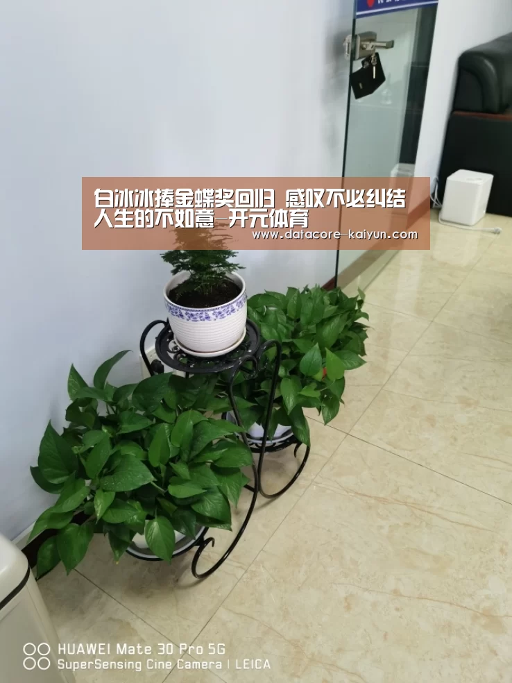 开云体育网站