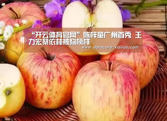 “开云体育官网”陈梓童广州首秀 王力宏蔡依林被称榜样(图4) 开元体育