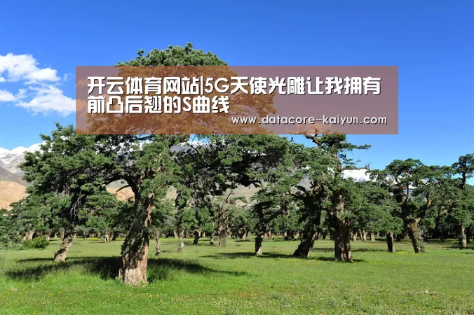 开云体育网站|5G天使光雕让我拥有前凸后翘的S曲线(图3) 开云体育官网