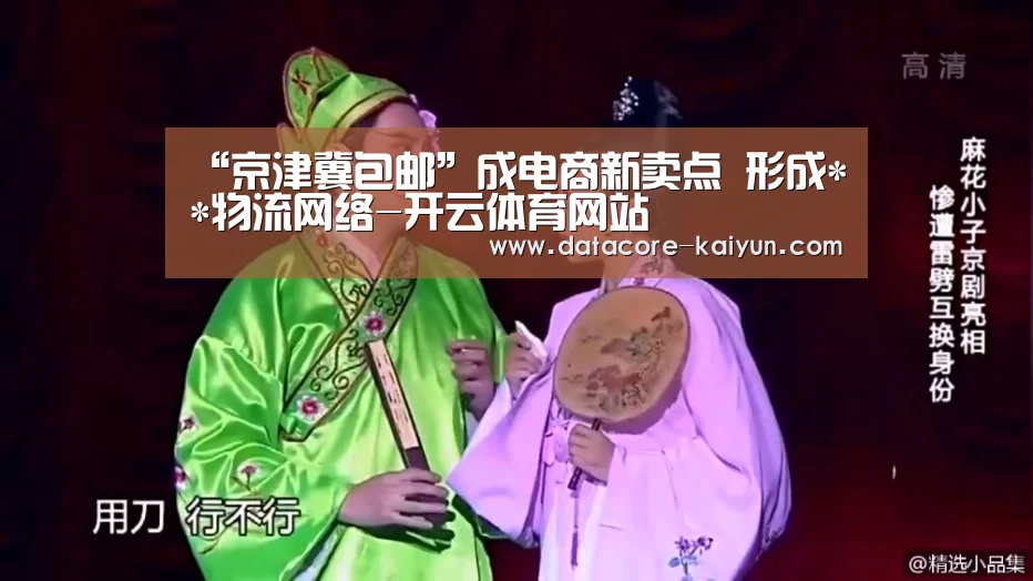“京津冀包邮”成电商新卖点 形成**物流网络-开云体育网站(图3) 开云体育首页