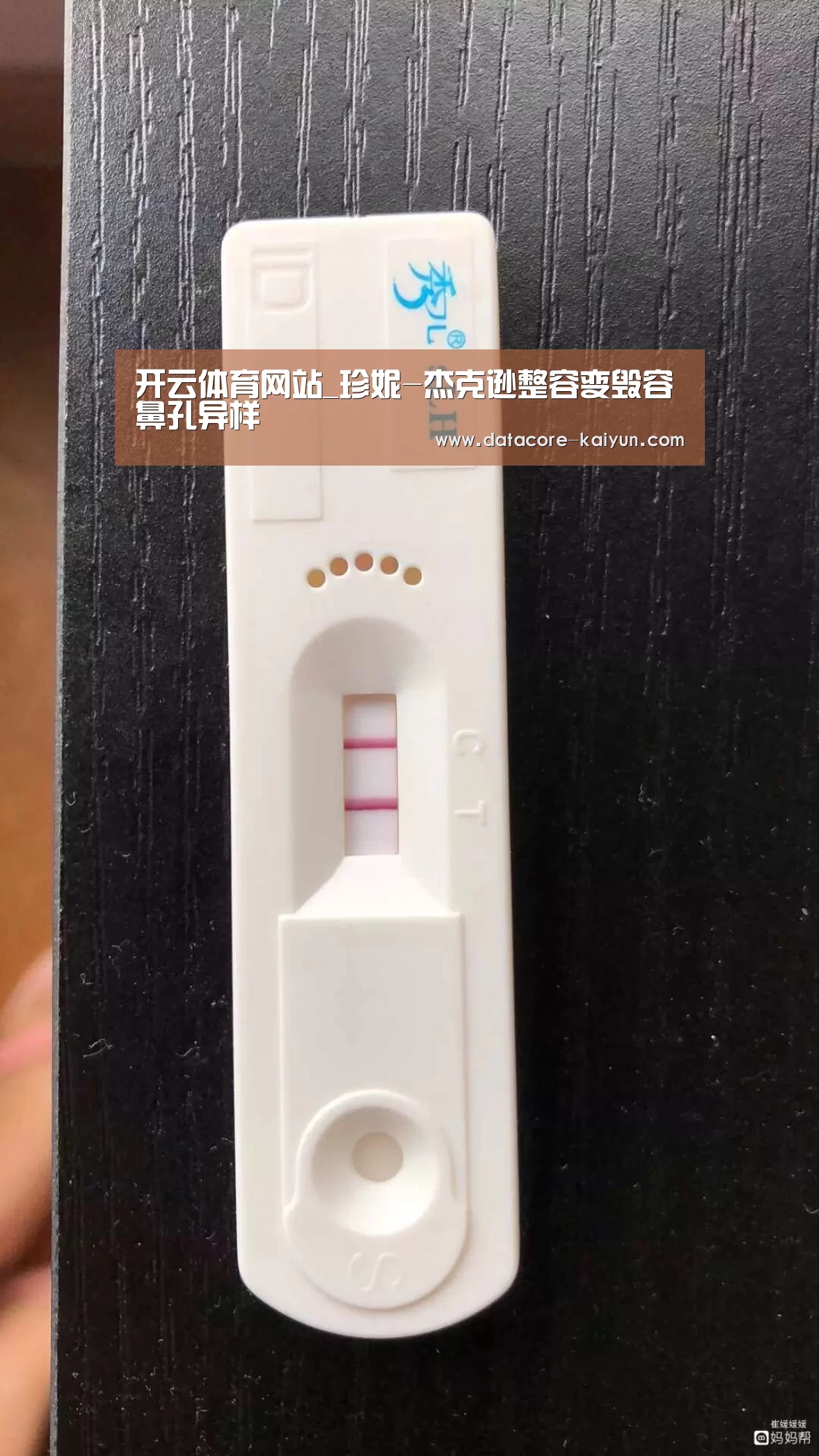 开云体育官网