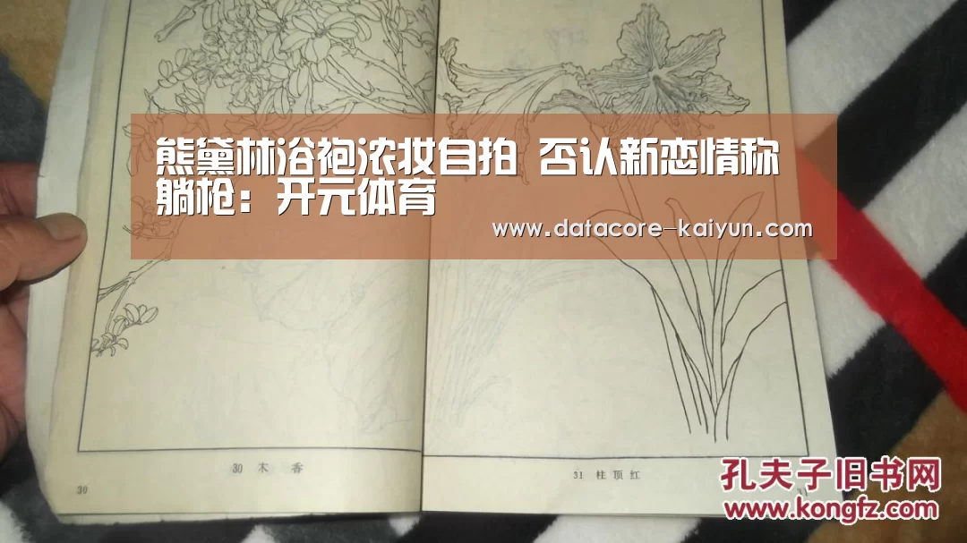 开云体育官网