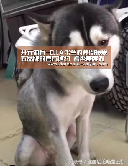 开云体育首页
