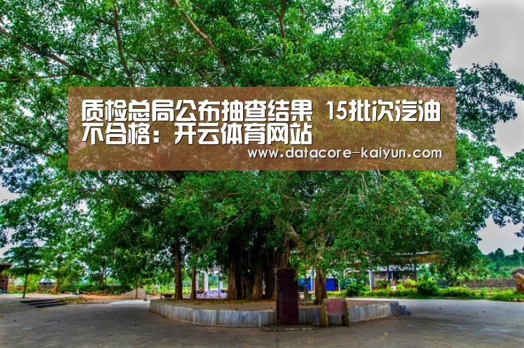 质检总局公布抽查结果 15批次汽油不合格:开云体育网站(图3) 开云体育官网