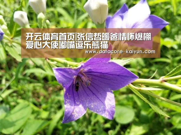 开云体育首页|张信哲暖爸情怀爆棚 爱心大使嘟嘴逗乐熊猫(图1) 开元体育