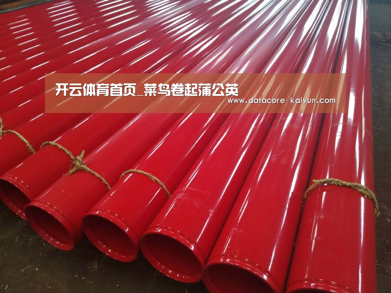 开云体育首页_菜鸟卷起蒲公英(图2) 开云体育首页