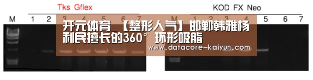 开元体育_【整形人气】邯郸韩雅杨利民擅长的360°环形吸脂